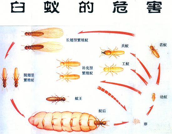 1574407761998853.jpg timg.jpg