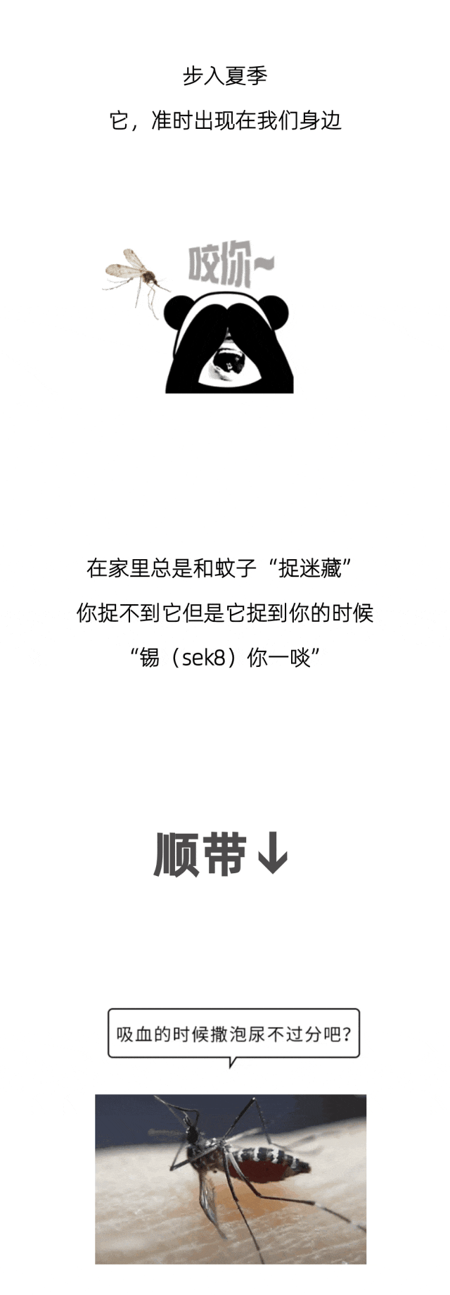 1724373805543620.gif 640.gif