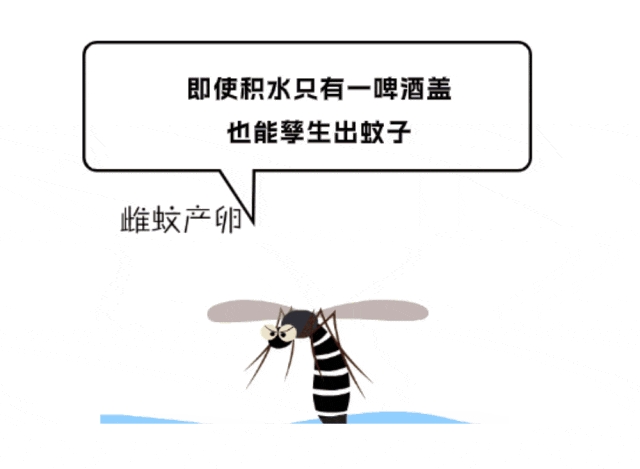 1724375325383116.png 微信截圖_20240823090428.png