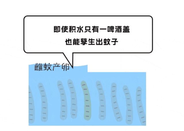 1724375336236950.png 微信截圖_20240823090450.png