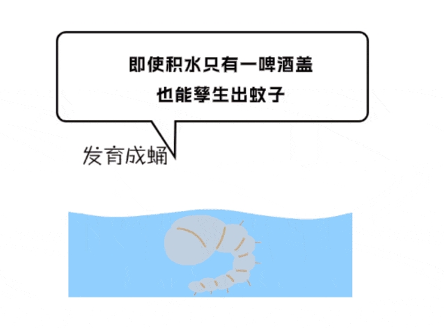 1724375348621487.png 微信截圖_20240823090522.png