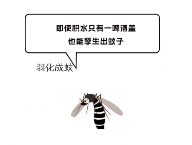 1724375352860131.png 微信截圖_20240823090533.png