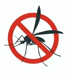 1768807698402824.png image.png